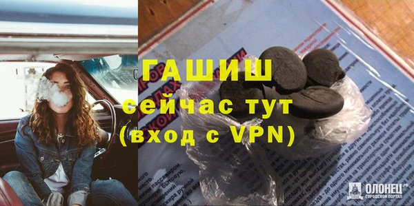 индика Нягань