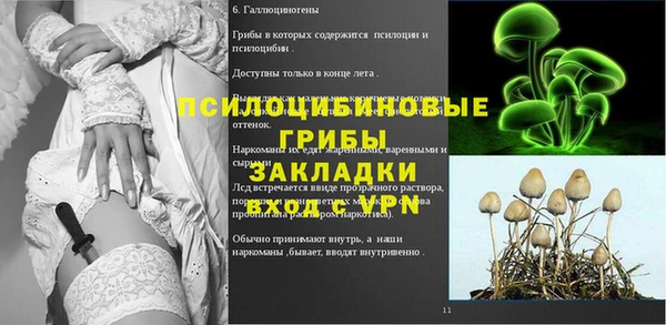 мет Балахна