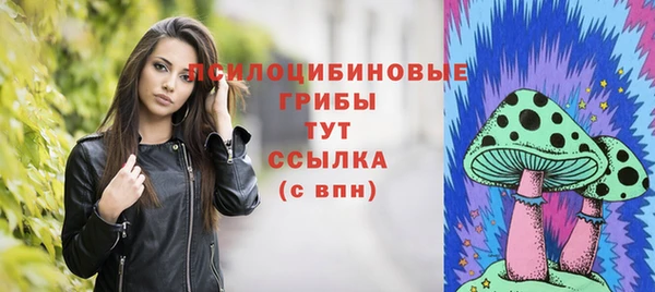 мет Балахна