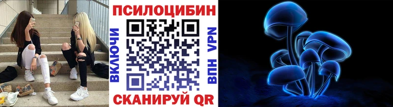 Псилоцибиновые грибы прущие грибы  цена   Суворов 